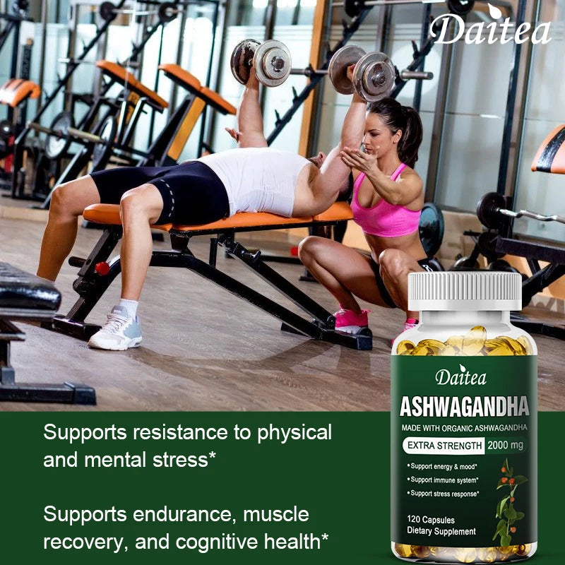 Daitea Ashwagandha Extract Capsule Anti-oxidation, Lipid-lowering, Decompression, Improving Sleep, Enhancing Immunity